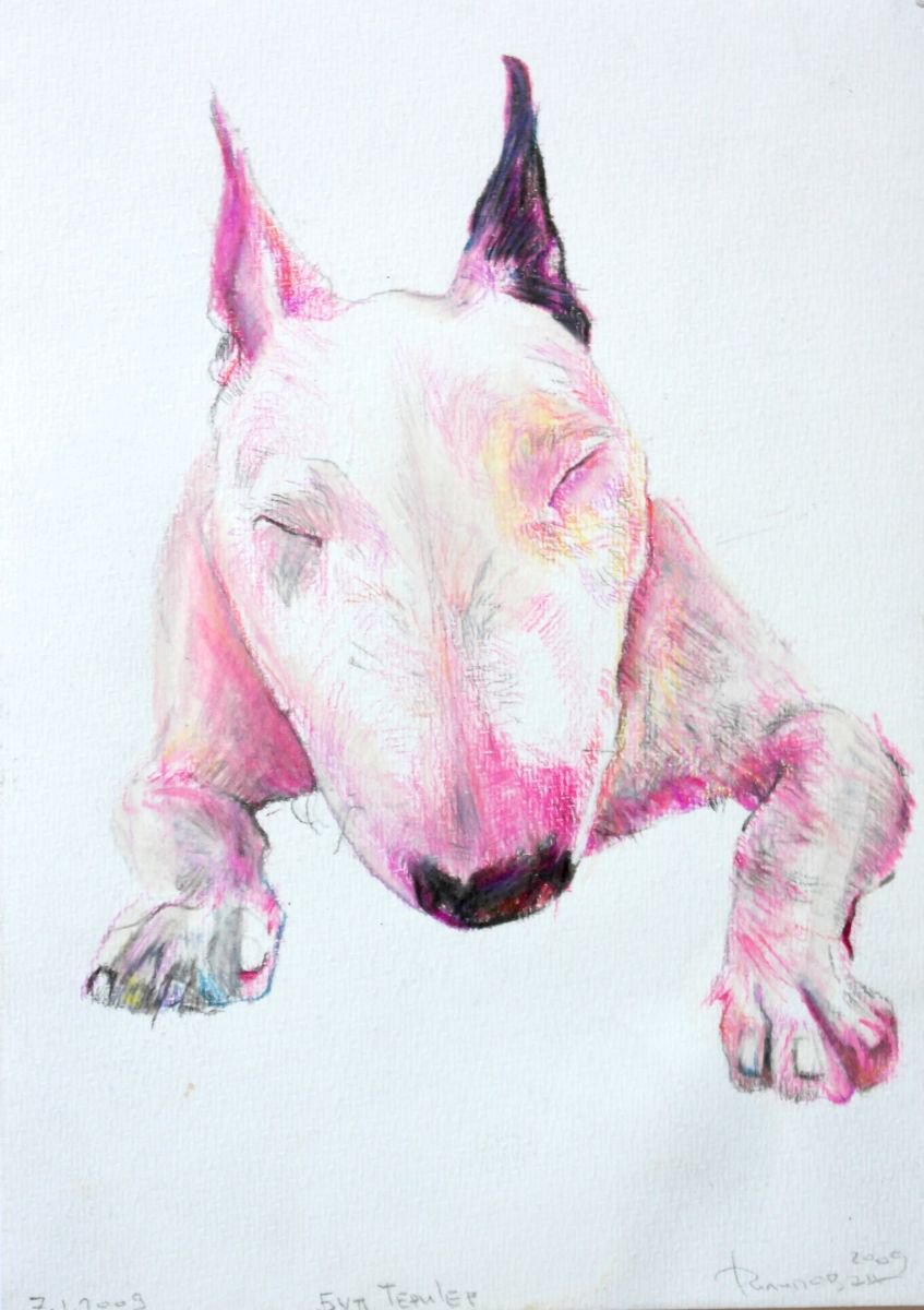 Bull terrier Pencil drawing by Miso Filipovac Artfinder