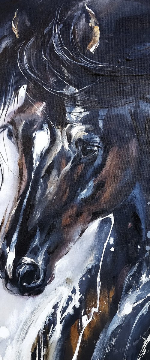 BLACK BEAUTY by Anna Cher