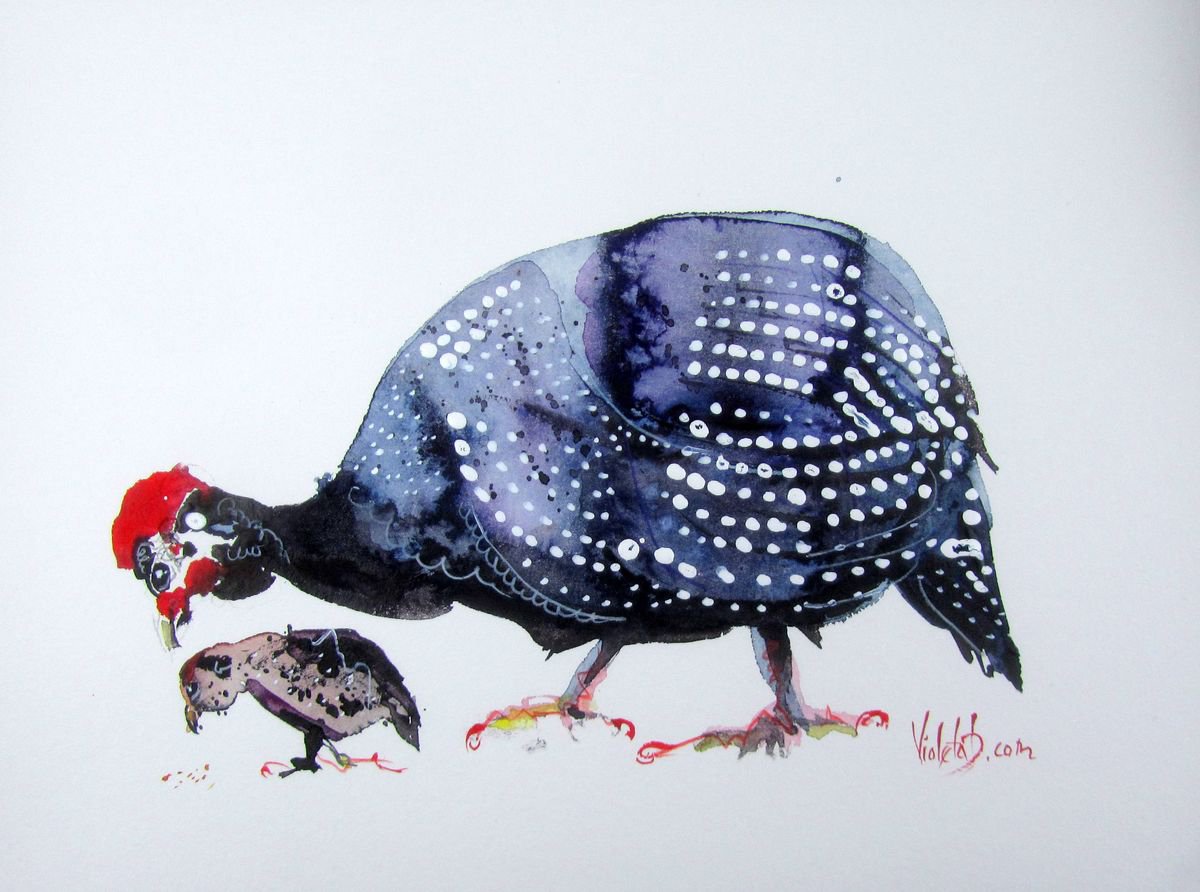 Guineafowl 4 by Violeta Damjanovic-Behrendt