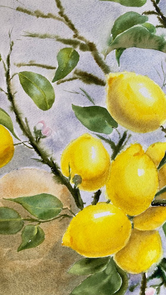 Lemon curd