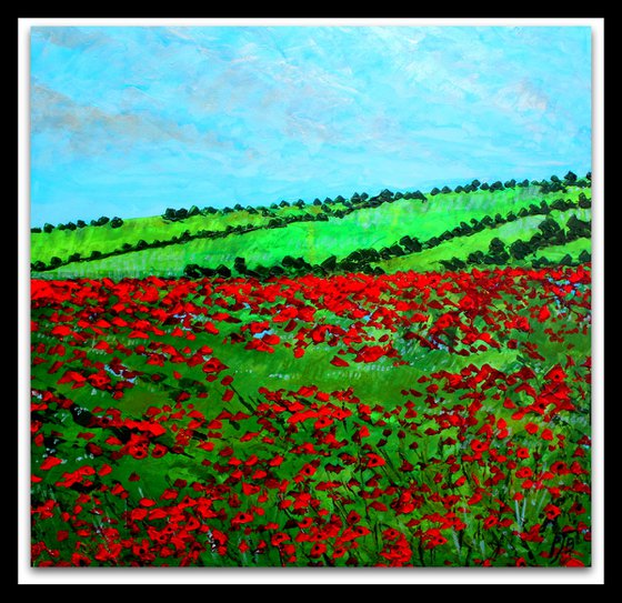 Hampshire Poppy field