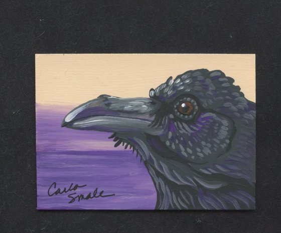 Crow Raven