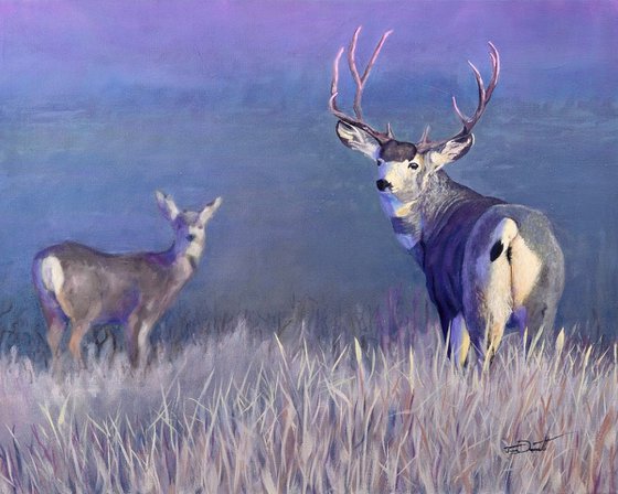 Mule Deer Take Warning