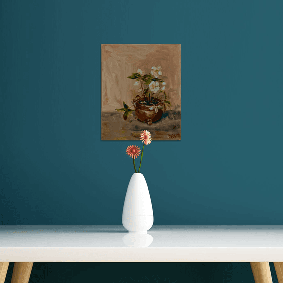 HELLEBORE