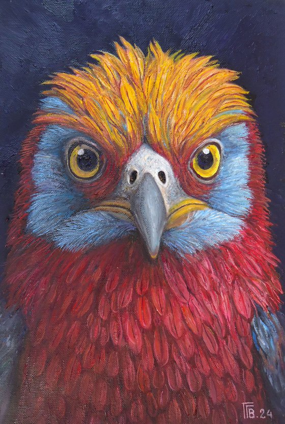 "Vivid Gaze"