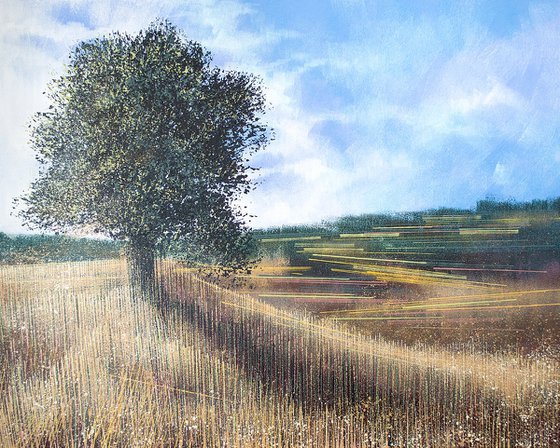 Meadow In Late Summer