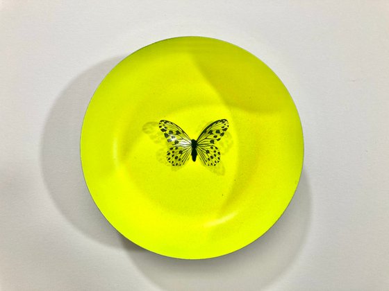 Neon butterflies
