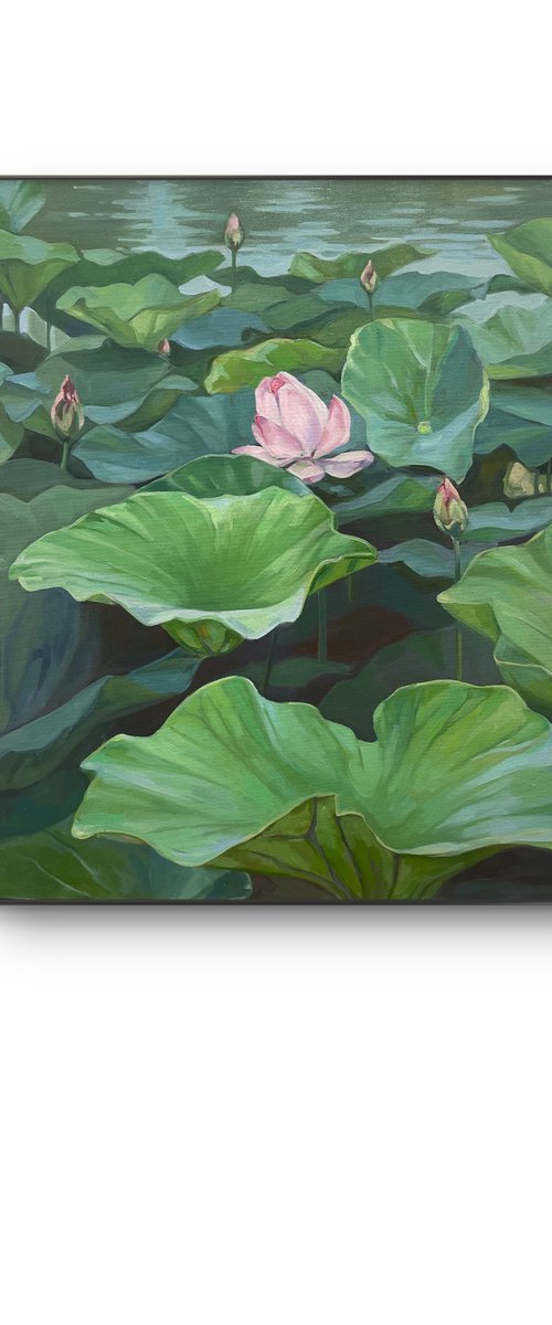Lotuses landscape by Guzel Min