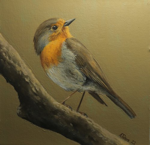 Robin Painting Bird Artwork by Alex Jabore