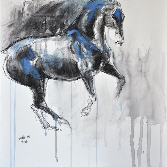 Equine Nude 18t