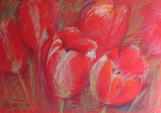 Tulips Red