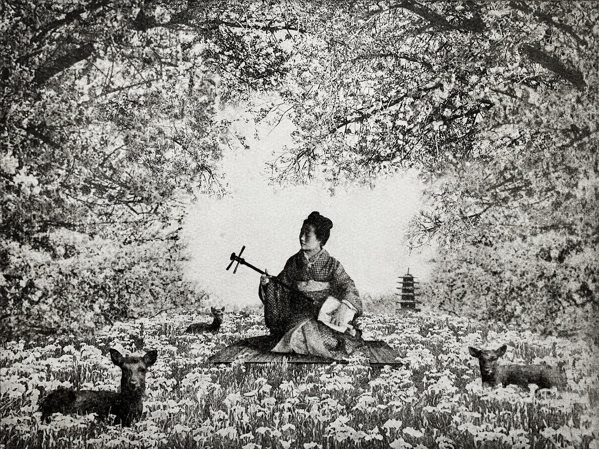 Photorealistic Portrait Etchings & Engravings By Jaco Putker, 13 X 10, Sakura I, Original Artwork