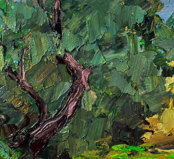 Trees above the River