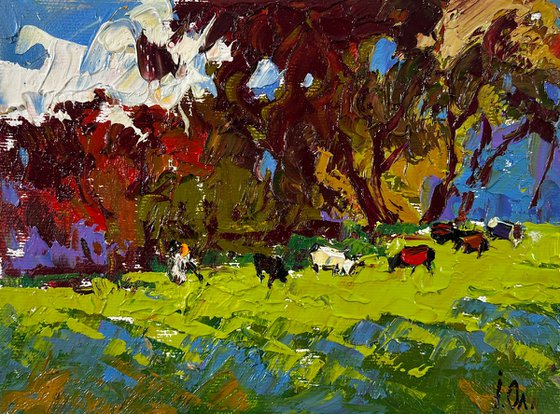 Cows on the meadow