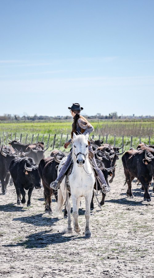 CAMARGUE LIFE by Fabio Accorrà