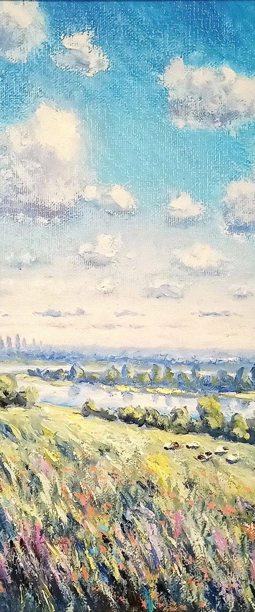 Summer meadow by Oleh Rak