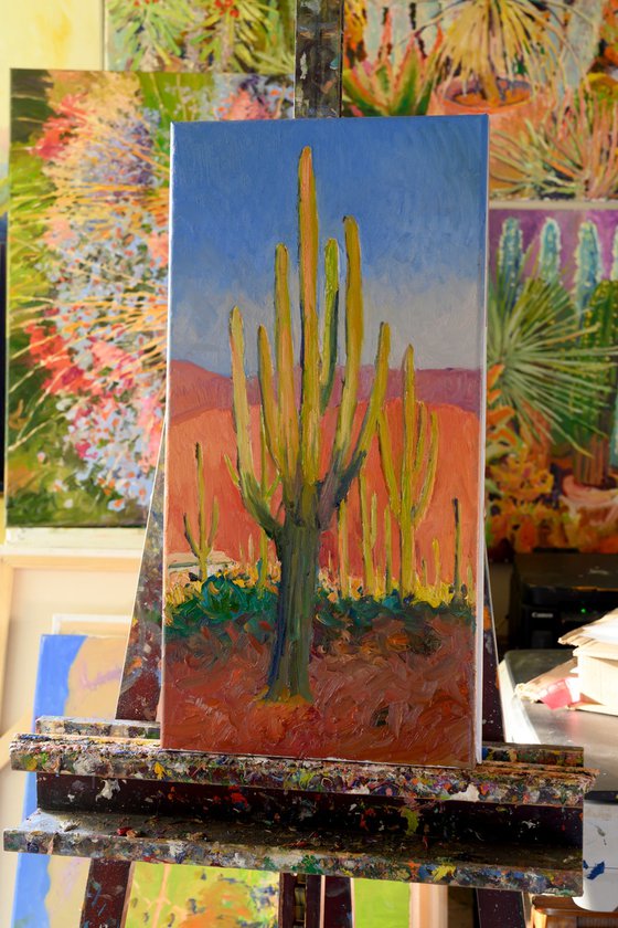 Saguaro. Early evening