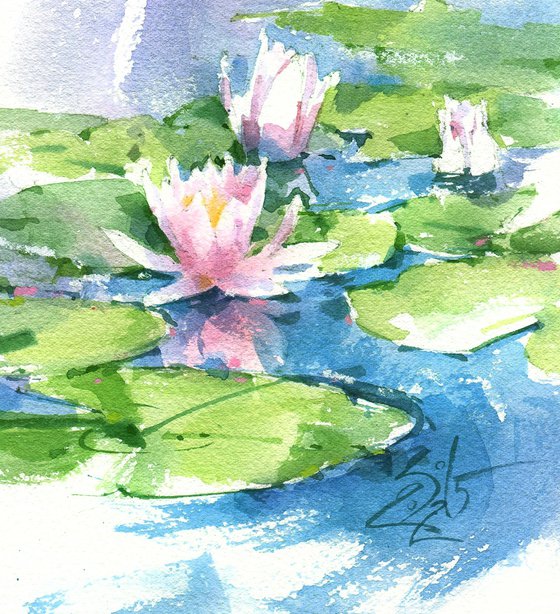 Pink Lotuses. Melody of river