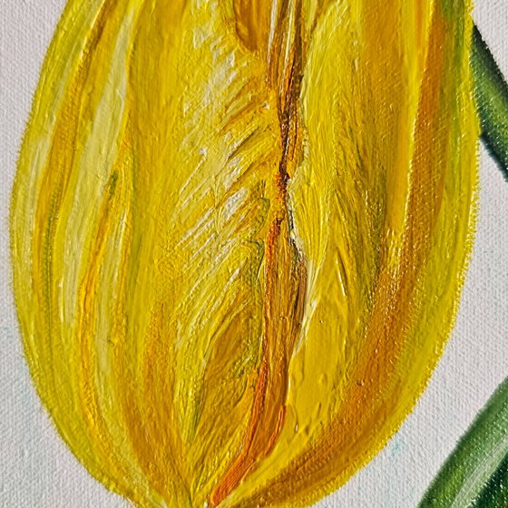 Yellow within Blue