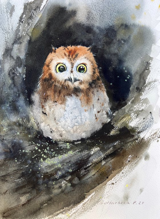 Owl in a hollow