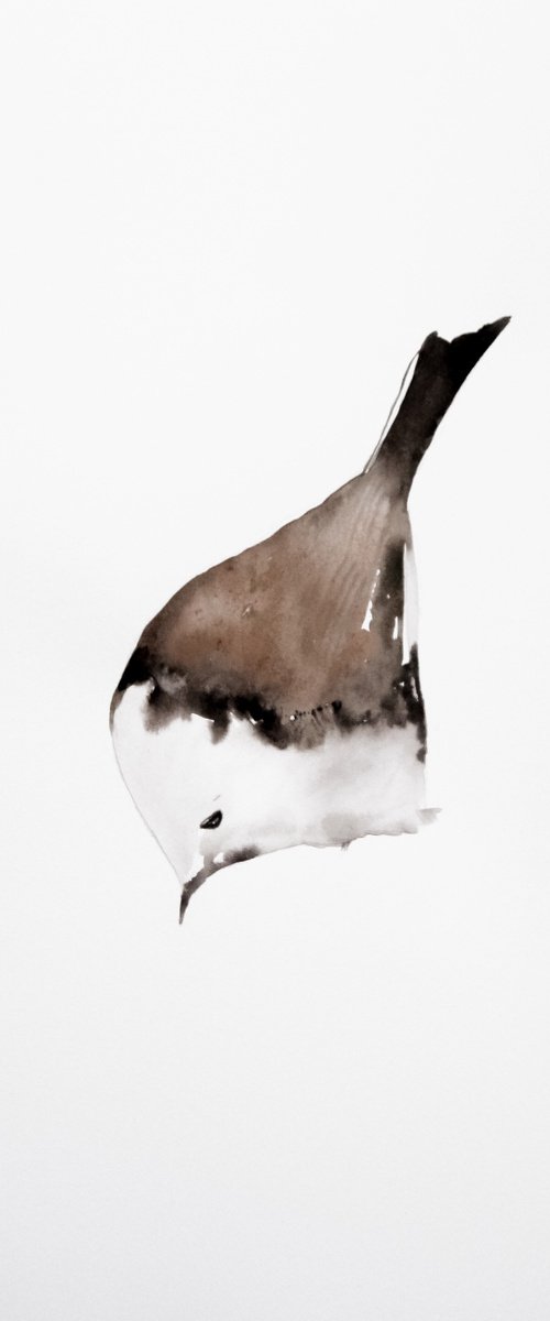 Bird by Nadia Moniatis