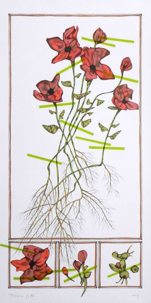 poppies by Federico Cortese