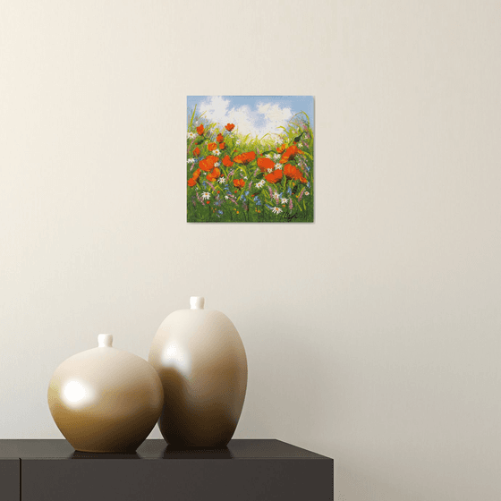 Poppy field 4