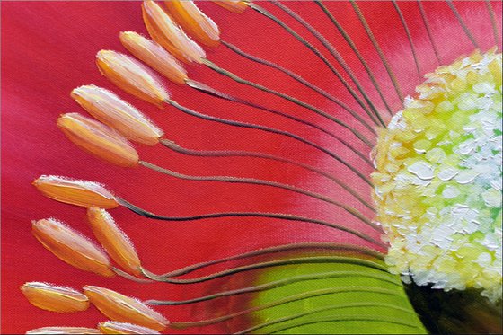 Poppy Core