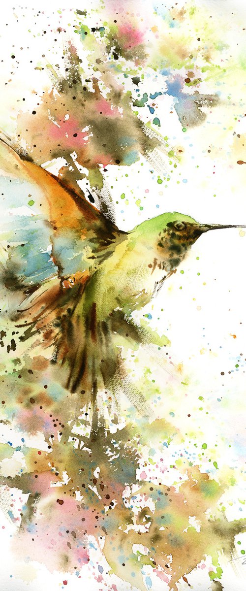 Hummingbird by Sophie Rodionov