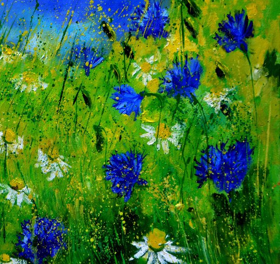 Cornflowers and daisies