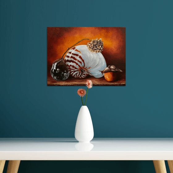 The still life with a nautilus shell