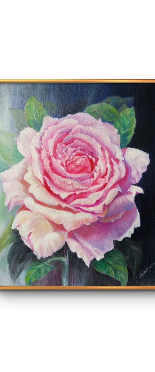 Soft Blush by Olga Valenzuela
