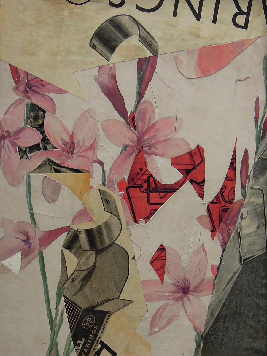 Botanical Collage By Benjamin West, 6 X 8, Plant Machina 4, Original Artwork