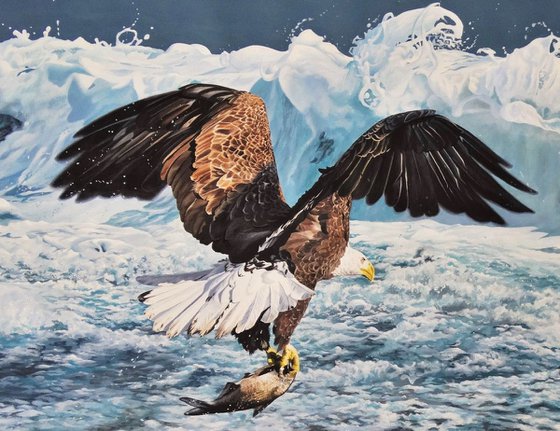 Pacific Rim Bald Eagle