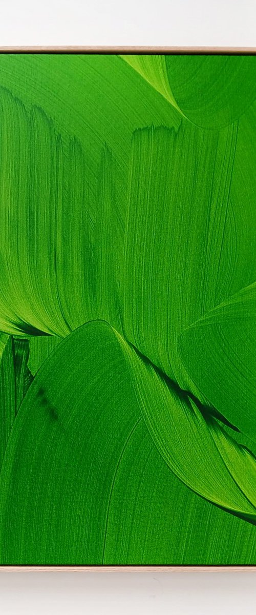 renewal by Nikolaos Schizas