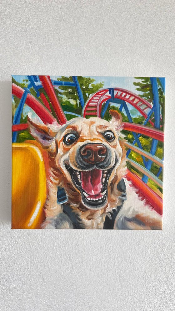 No Brakes | Dog on Rollercoaster
