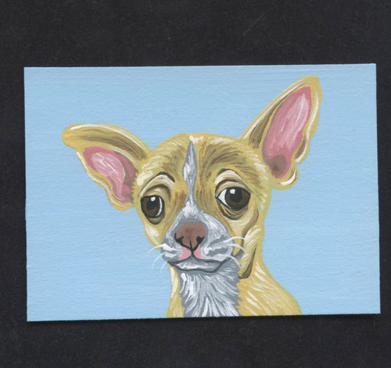 ACEO ATC Original Miniature Painting Blonde Chihuahua Pet Dog Art-Carla Smale