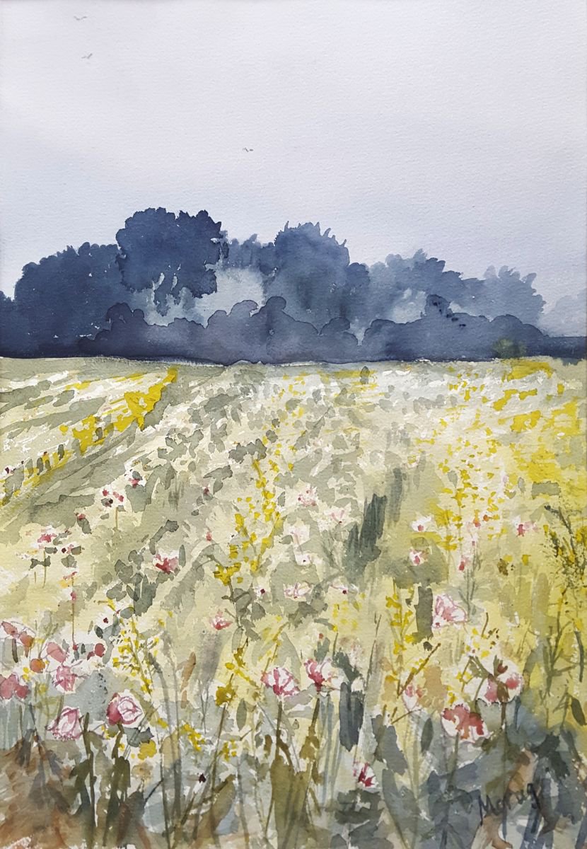 Field with pink and yellow Flowers by Morag Paul