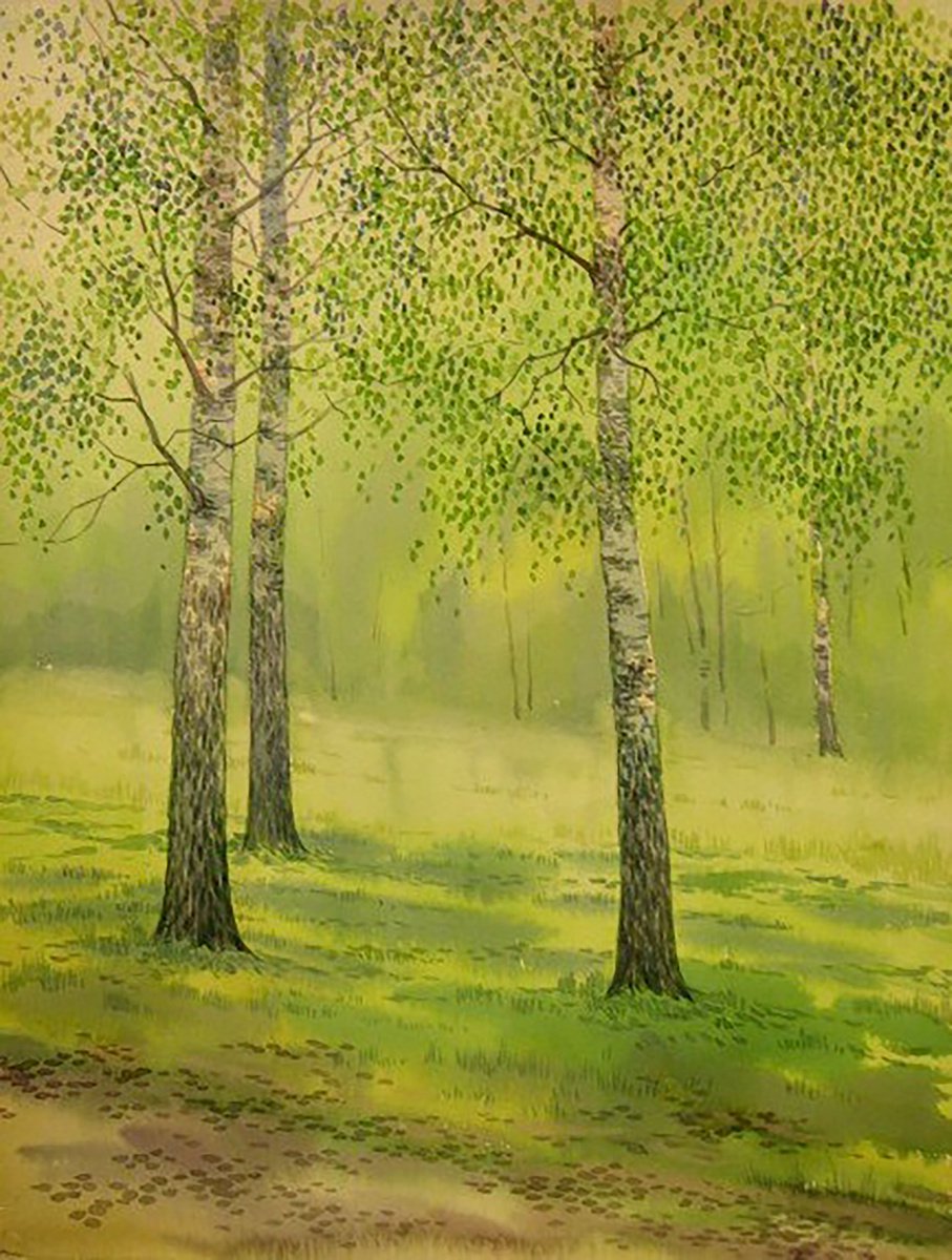 Impressionistic Landscape Oil Painting By Valeriy Savenets-1, 16 X 12", May. Birches, Original Artwork