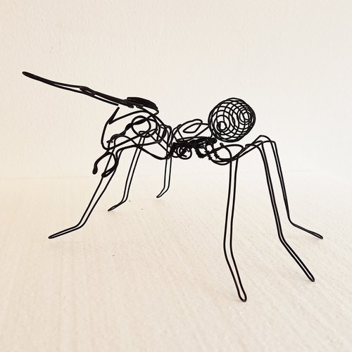 "Small Ant" by Ognyan Hristov