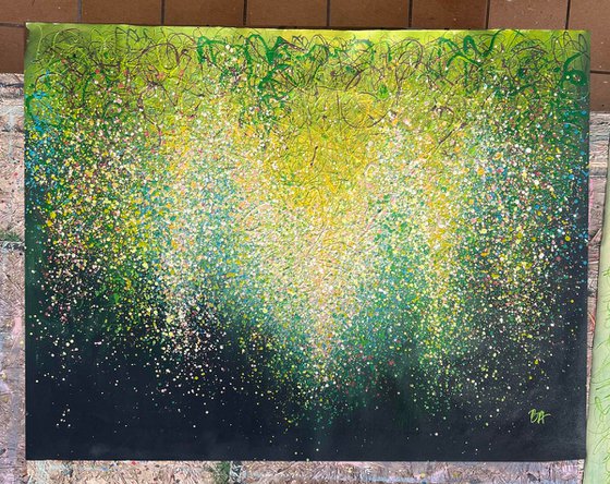 Where Rain Turns to Light