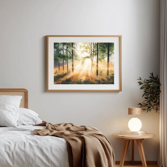 Morning Light in the Forest