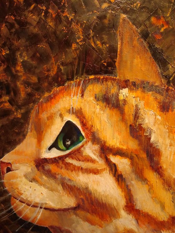 Cat in red, 40x40 cm. (Ready to hang).