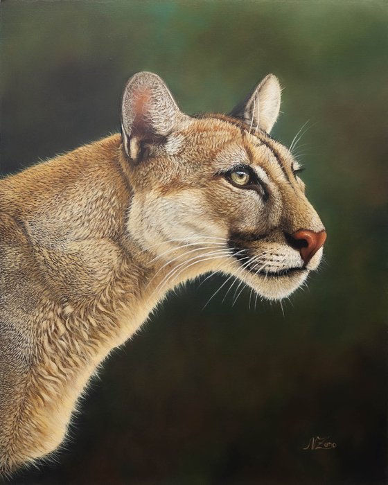 Cougar's Gaze / Silent Guardian