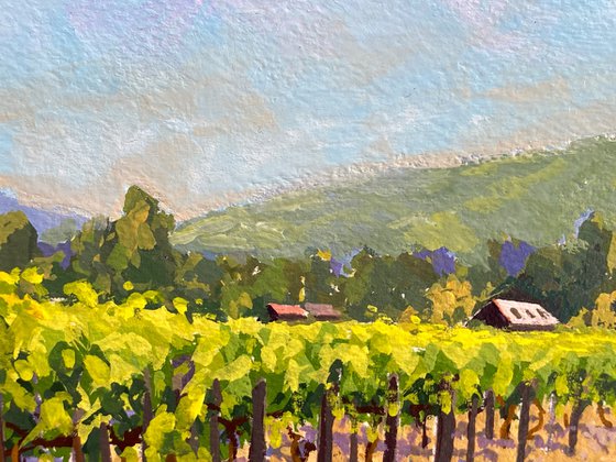 Visiting Folktale Vineyard In Carmel Valley