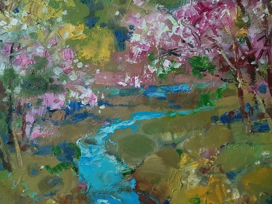 Spring Stream in the Forest