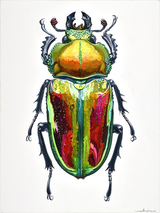 Rainbow Stag Beetle