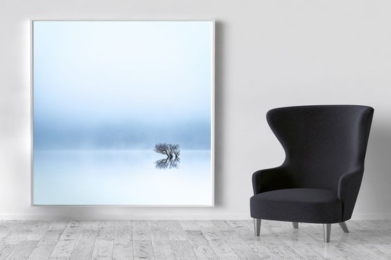 Lost in the Mist  - Solitary Tree Canvas, Extra large blue canvas