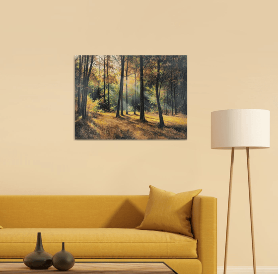 Sunlit Autumn Forest