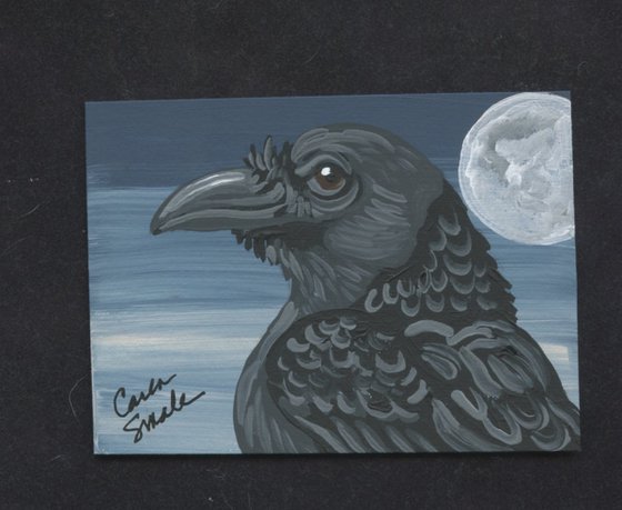 Crow Raven